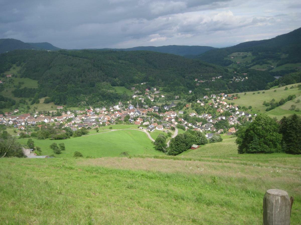 Gite En Pleine Verdure Au Coeur Du Village Lapoutroie Exteriör bild