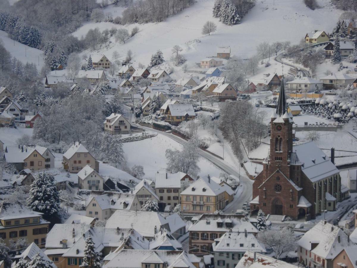 Gite En Pleine Verdure Au Coeur Du Village Lapoutroie Exteriör bild